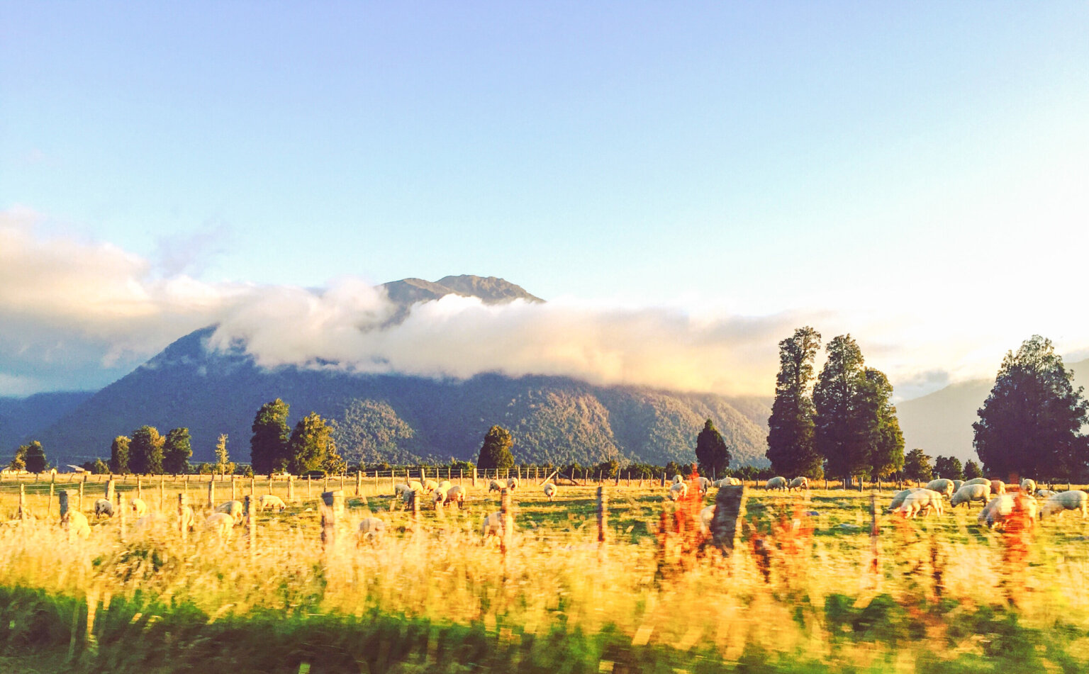 Suggested 2-week detailed itinerary for New Zealand