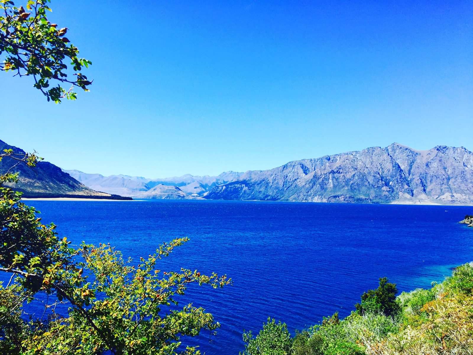 Deep blue lake Wanaka