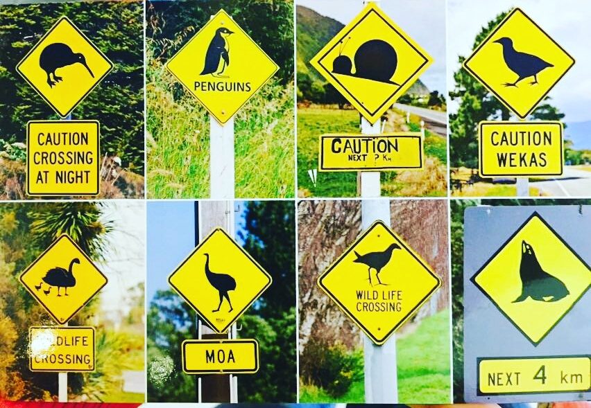 New Zealand Road Signs