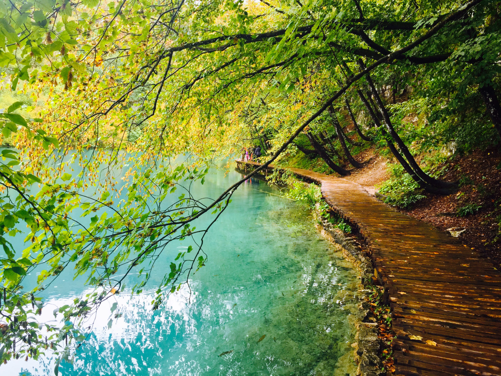 The shaded walking path along the lake