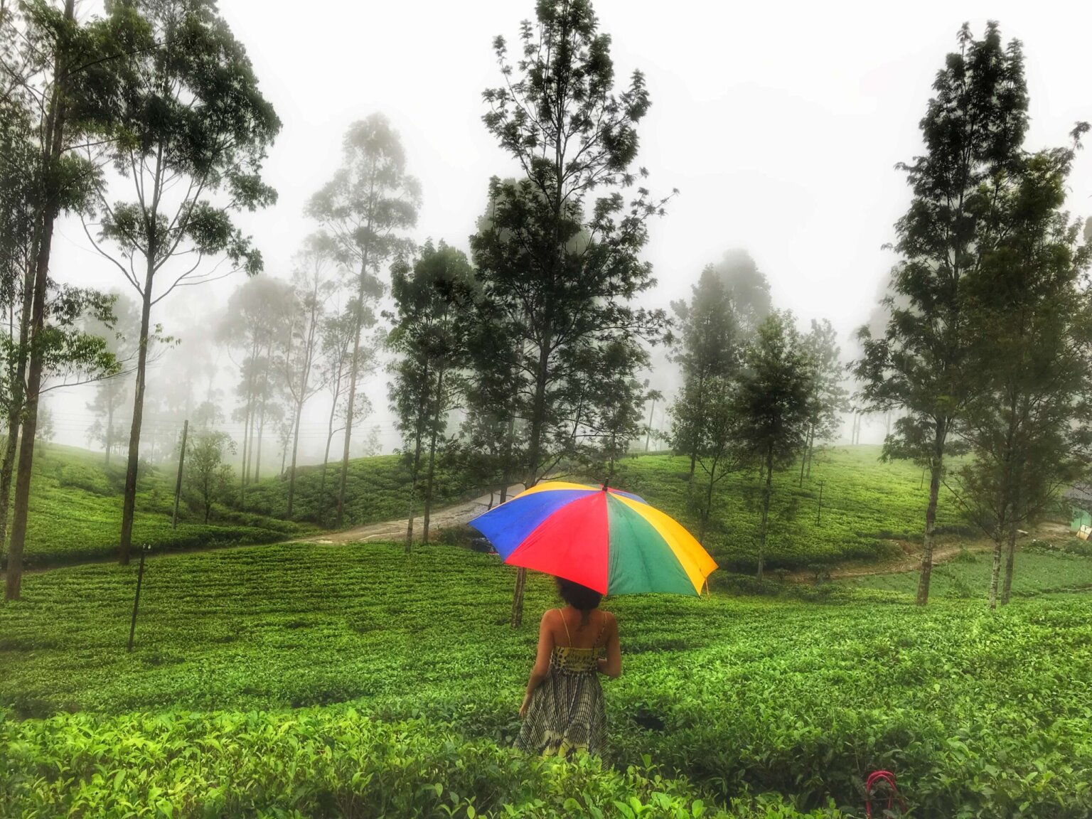 5 things to do in Nuwara Eliya, Sri Lanka
