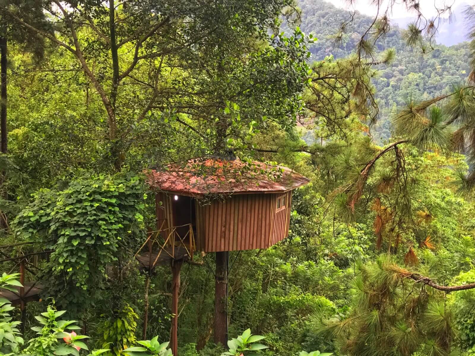 The Tree House, Ginigathena