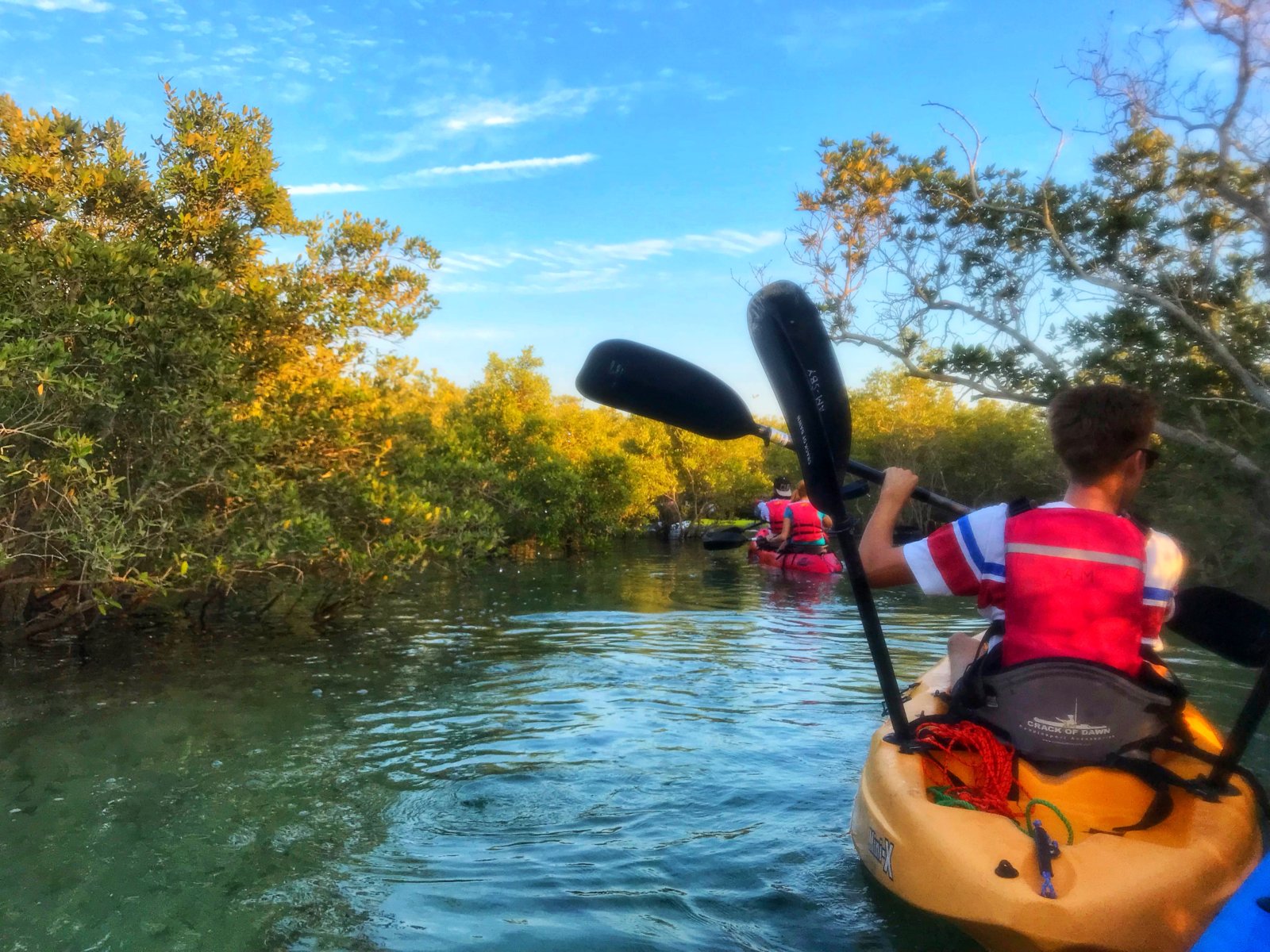 mangrove kayaking in abu dhabi