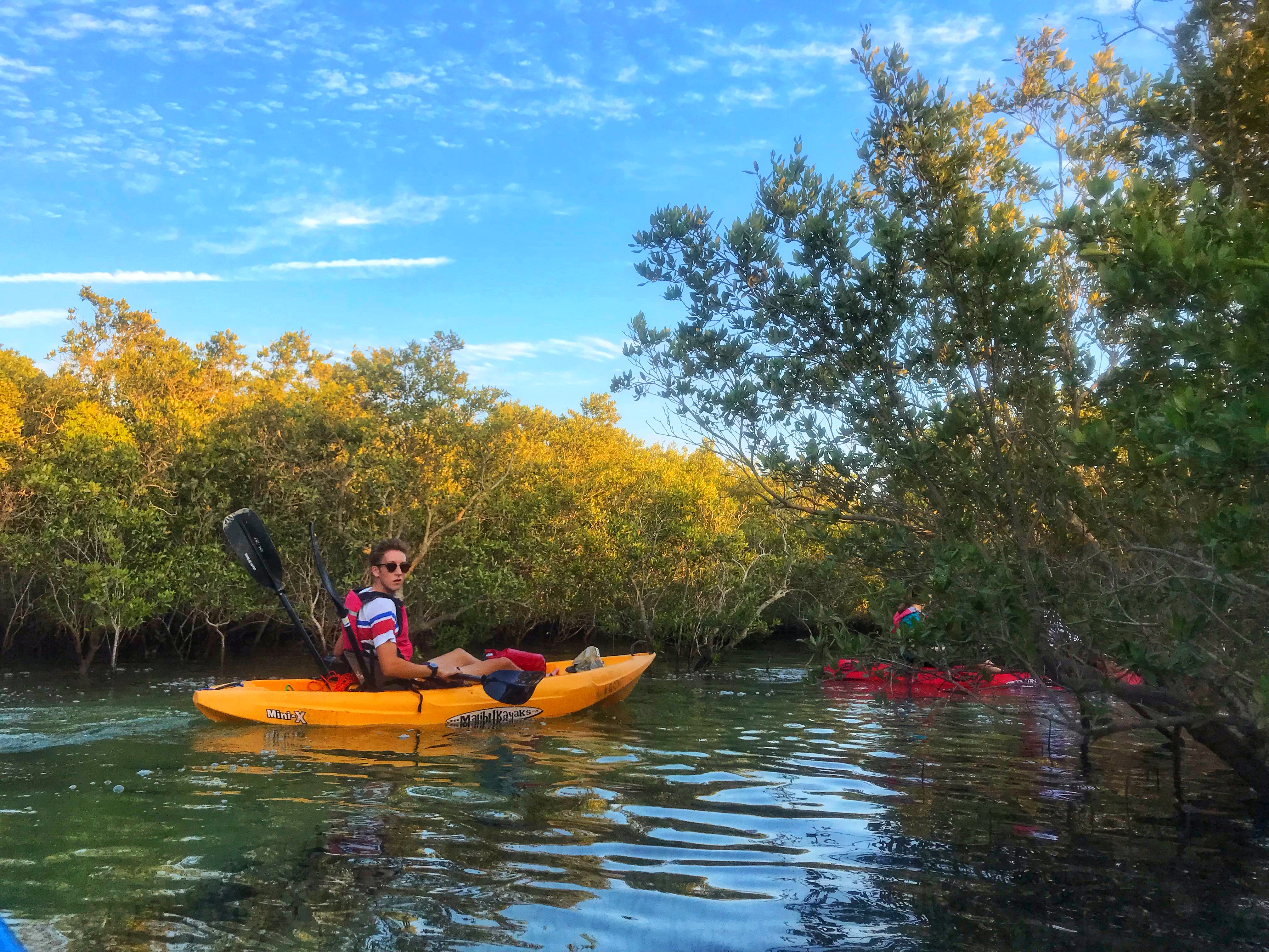 mangrove kayaking in abu dhabi