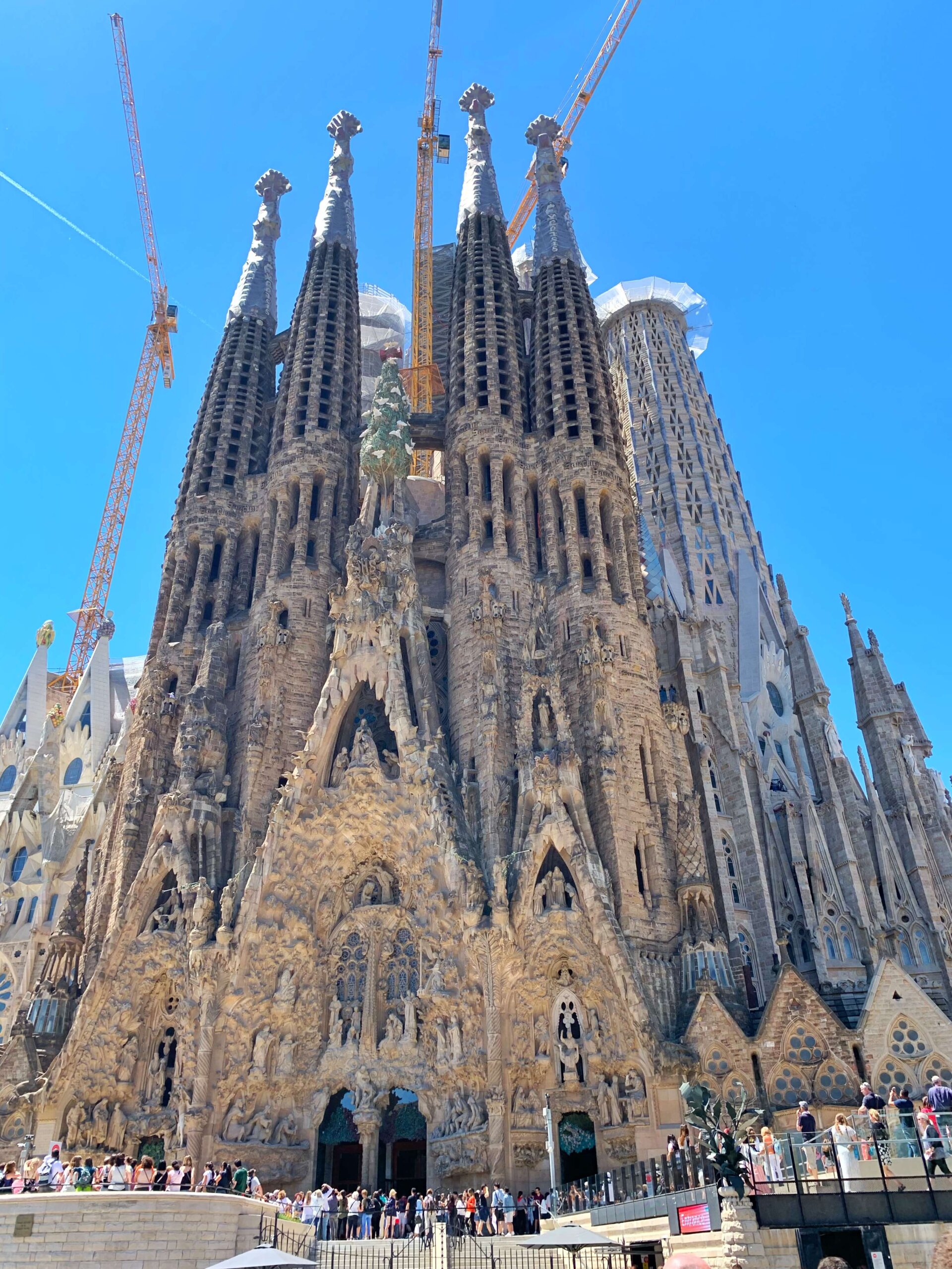 The best of Barcelona in 3 days - Hopping Feet