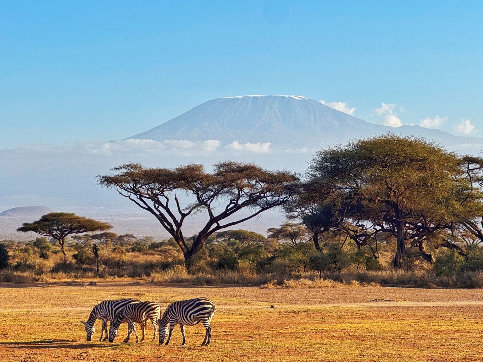 Savannah to Swahili Coast