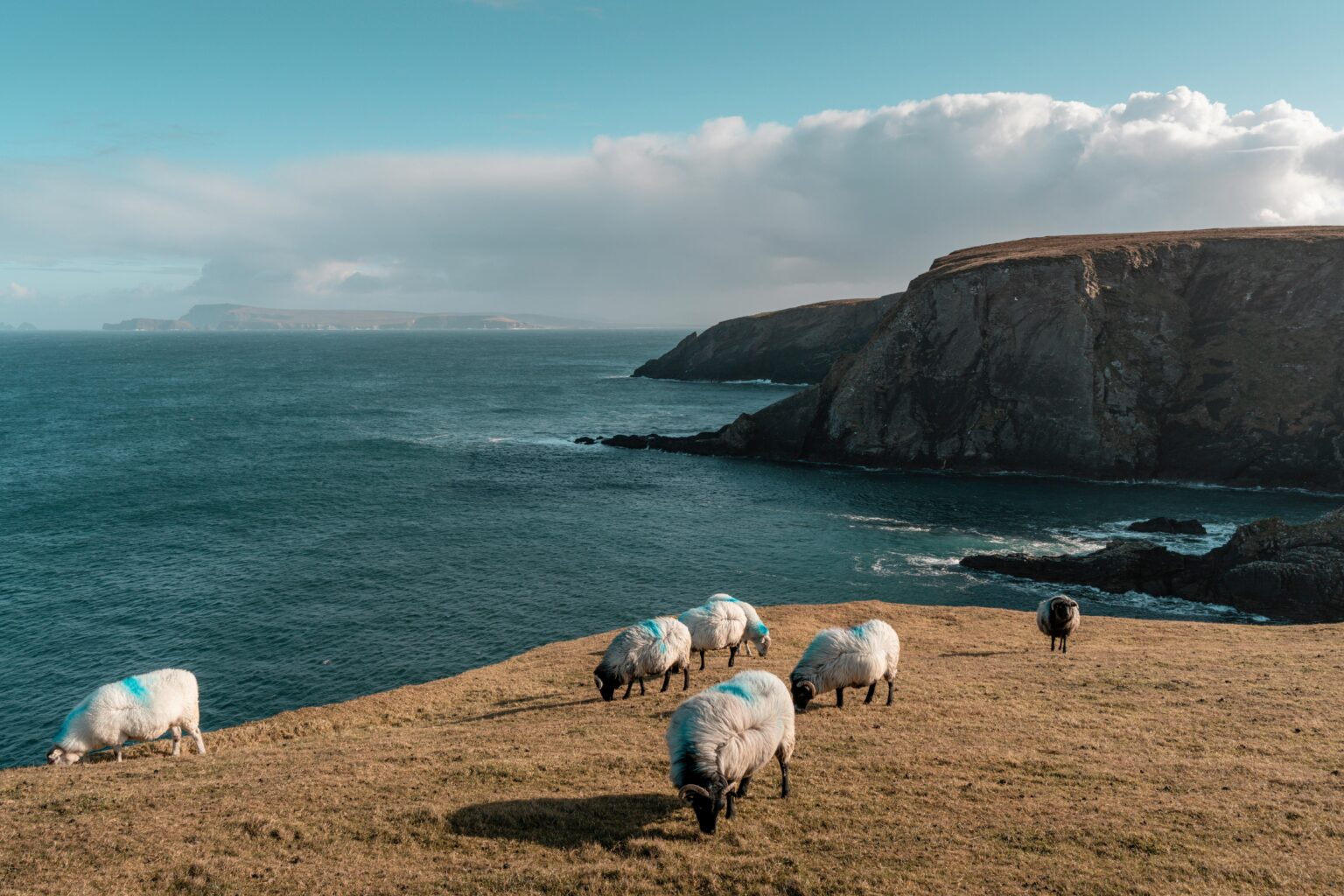 The Souvenir Edit: Irish Finds Worth Traveling For